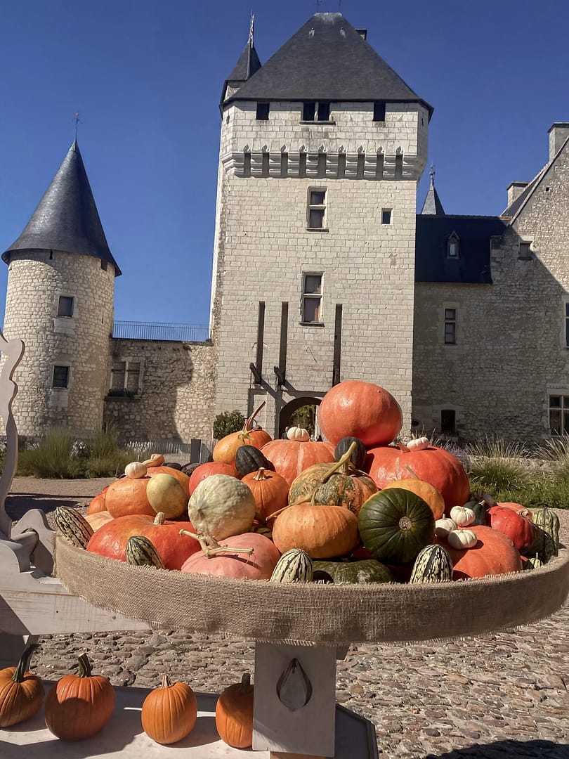 Inspiration Automnale : Capturer la Magie de l’Automne
